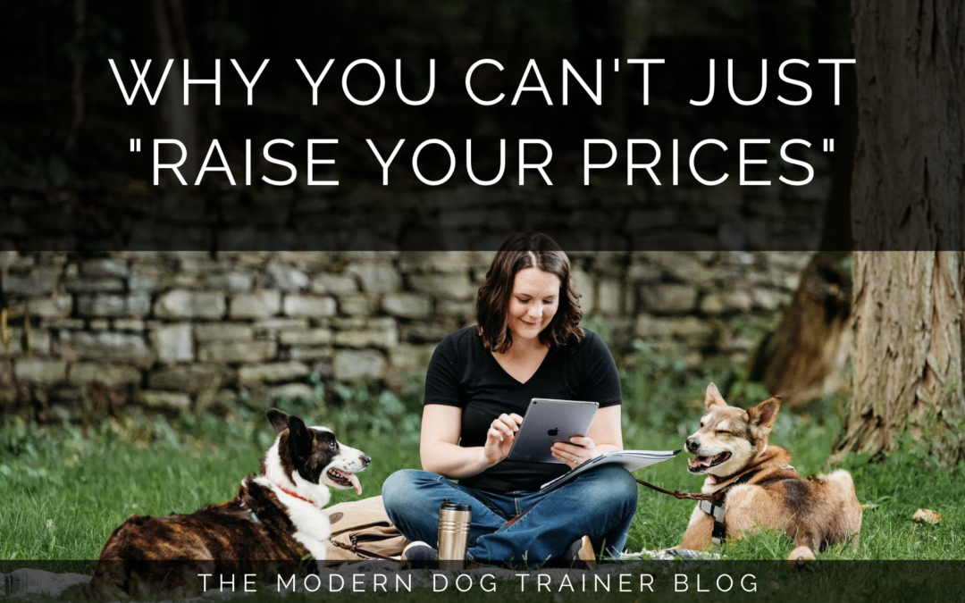 Why You Can’t Just “Raise Your Prices”