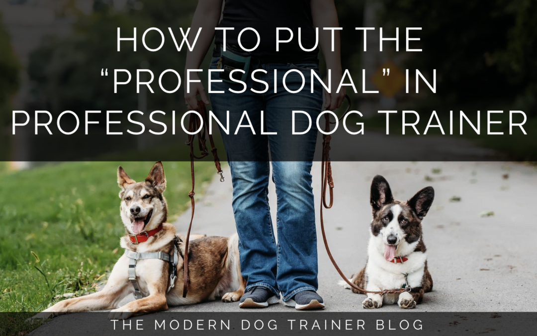 How to Put the “Professional” in Professional Dog Trainer