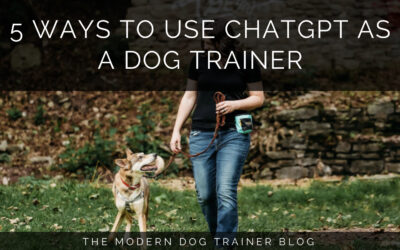 5 Ways to Use ChatGPT as a Dog Trainer