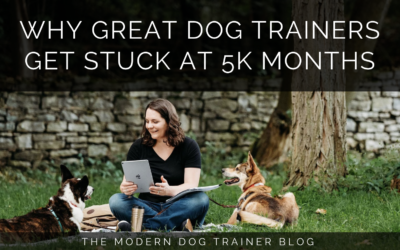 Why Great Dog Trainers Get Stuck at 5K Months