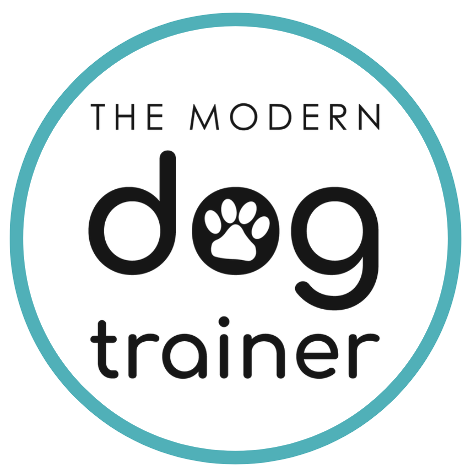 The Modern Dog Trainer Team