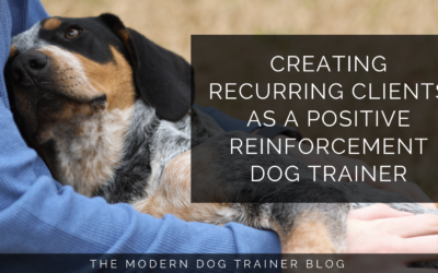 Creating Recurring Clients as a Positive Reinforcement Dog Trainer