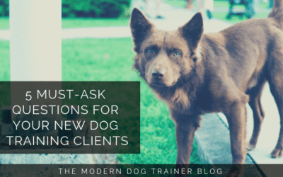 5 Must-Ask Questions for Your New Dog Training Clients